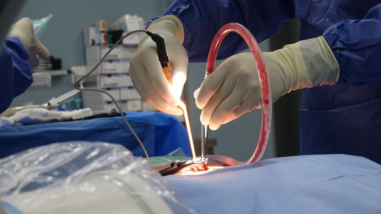 contact-img Medical professionals performing surgery in a sterile operating room setting.